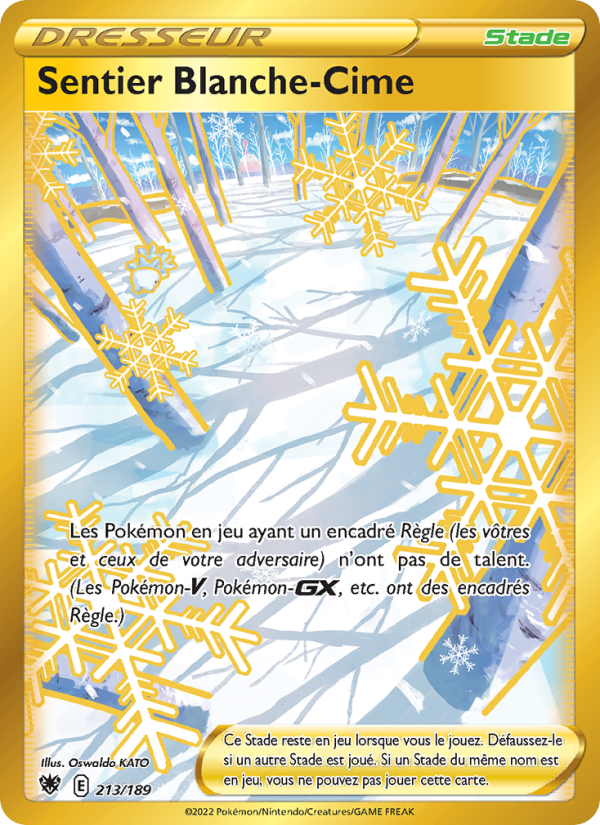 Sentier Blanche-Cime 213 — Astres Radieux (French Pokémon TCG card)