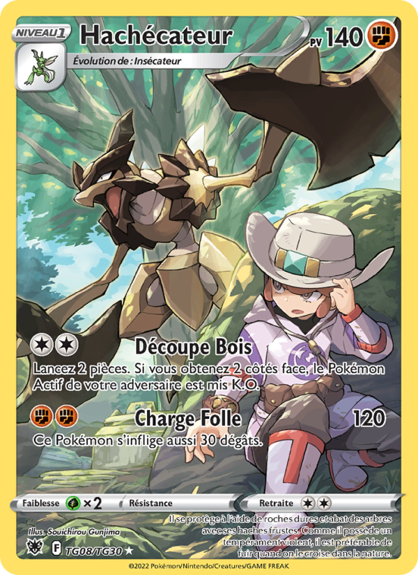 Hachécateur TG08 — Astres Radieux (French Pokémon TCG card)
