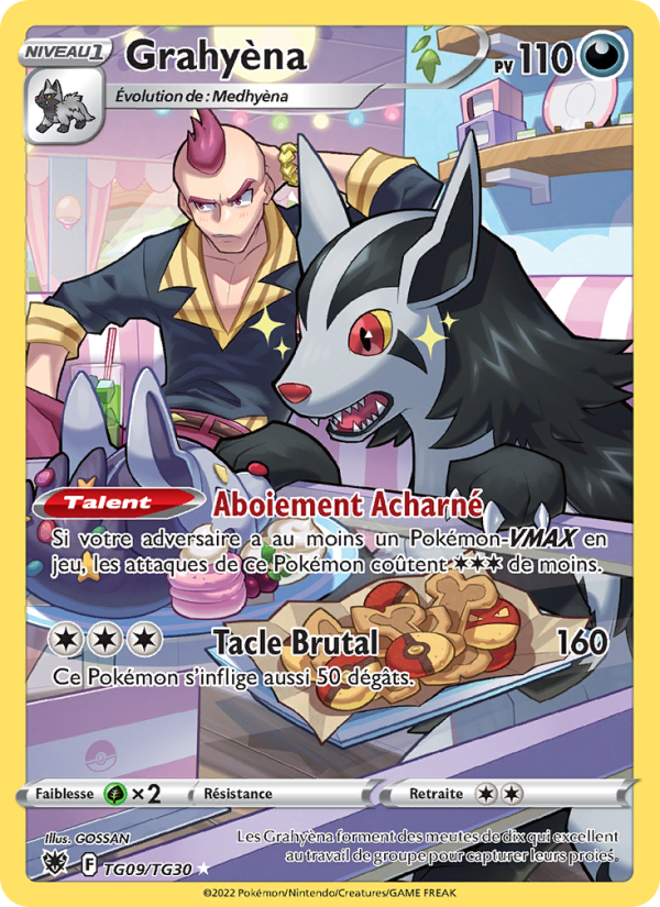 Grahyèna TG09 — Astres Radieux (French Pokémon TCG card)