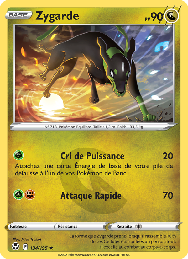 Zygarde 134 — Tempête Argentée (French Pokémon TCG card)