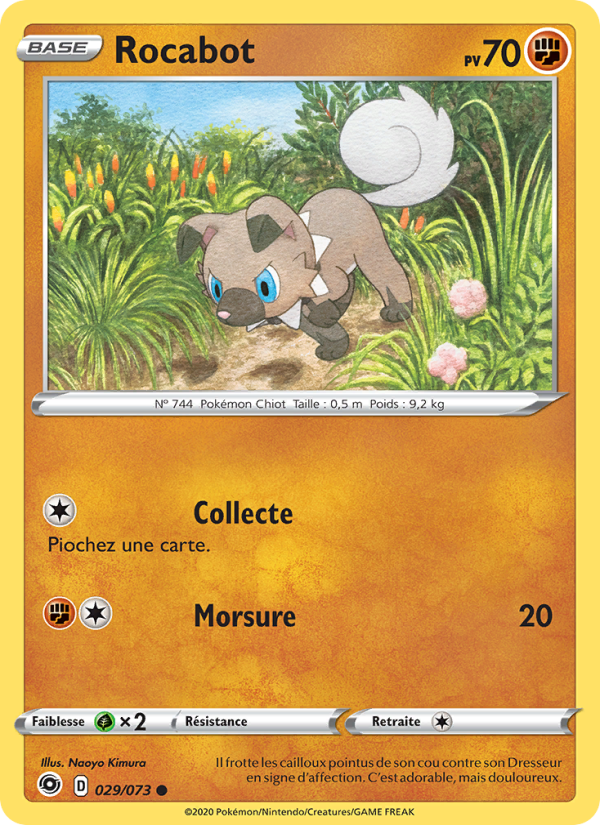Rocabot 29 — La Voie du Maître (French Pokémon TCG card)