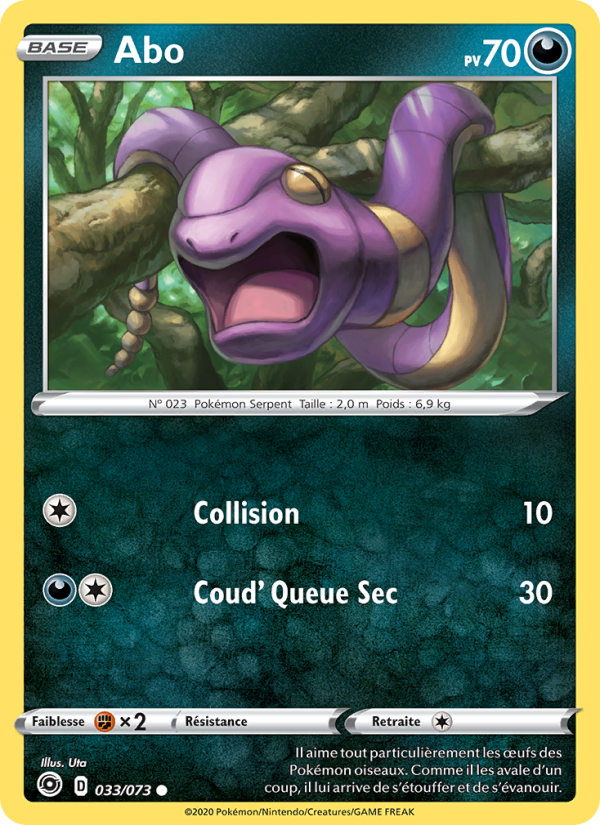 Abo 33 — La Voie du Maître (French Pokémon TCG card)