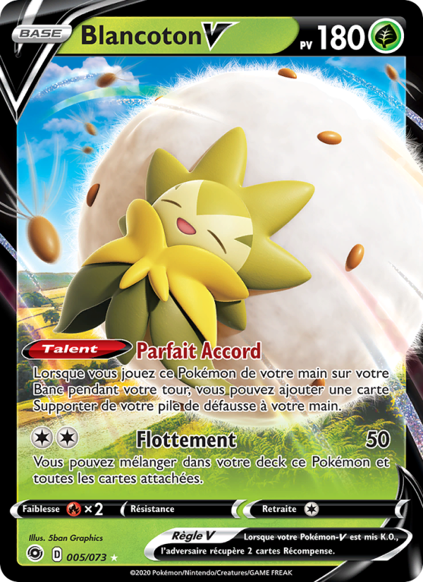 Blancoton V 5 — La Voie du Maître (French Pokémon TCG card)