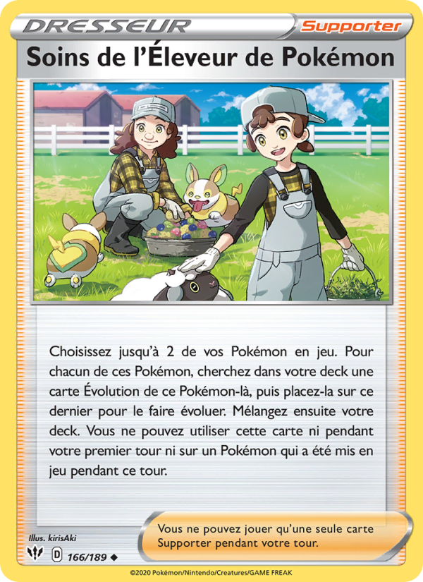 Soins de l'Éleveur de Pokémon 166 — Ténèbres Embrasées (French Pokémon TCG card)