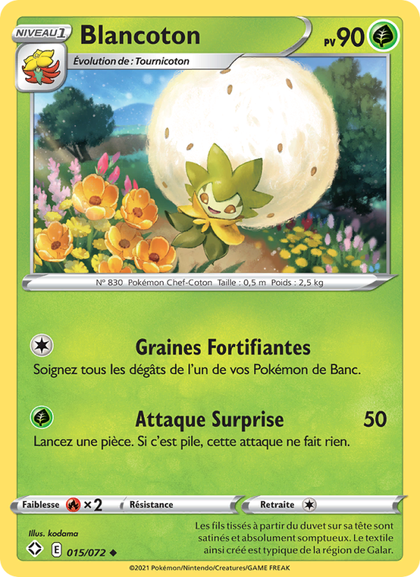 Blancoton 15 — Destinées Radieuses (French Pokémon TCG card)