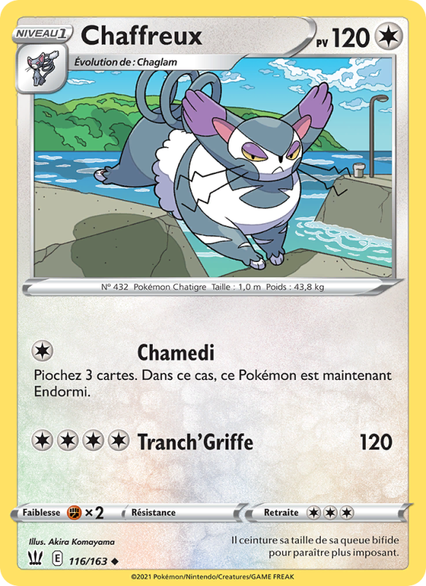 Chaffreux 116 — Styles de combat (French Pokémon TCG card)
