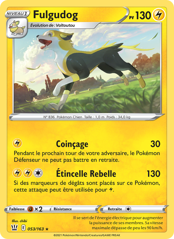 Fulgudog 53 — Styles de combat (French Pokémon TCG card)