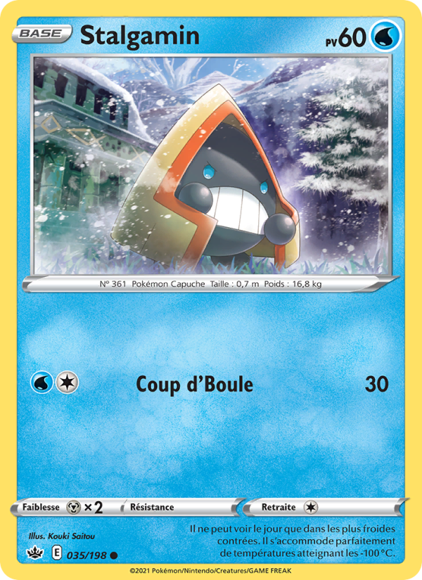 Stalgamin 35 — Règne de Glace (French Pokémon TCG card)