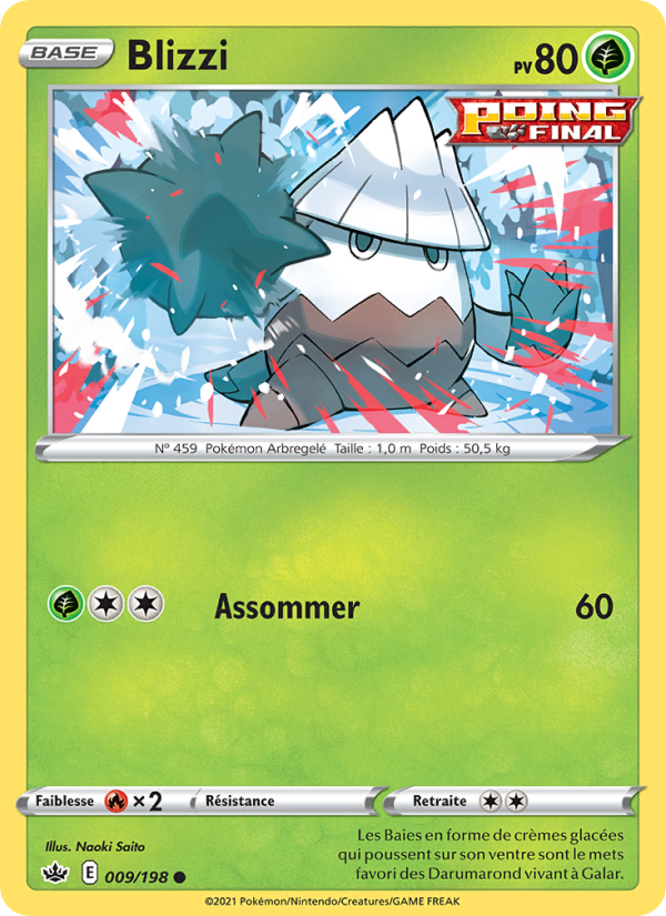 Blizzi 9 — Règne de Glace (French Pokémon TCG card)
