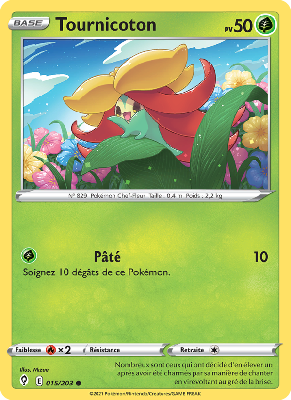 Tournicoton 15 — Évolution Céleste (French Pokémon TCG card)