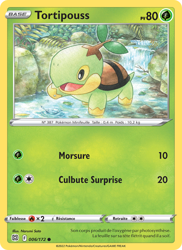 Tortipouss 006 — Stars Étincelantes (French Pokémon TCG card)
