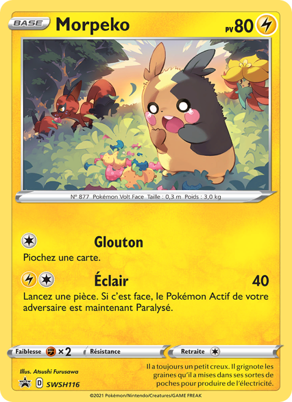 Morpeko SWSH116 — Promo SWSH (French Pokémon TCG card)