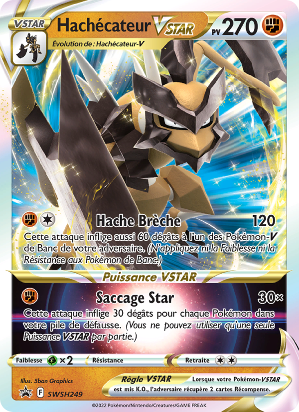 Hachécateur VSTAR SWSH249 — Promo SWSH (French Pokémon TCG card)