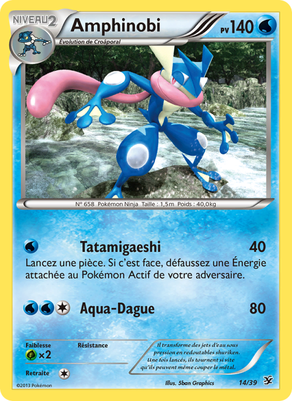 Amphinobi 14 — Bienvenue à Kalos (French Pokémon TCG card)