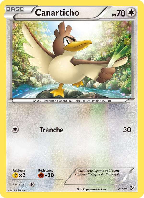 Canarticho 25 — Bienvenue à Kalos (French Pokémon TCG card)