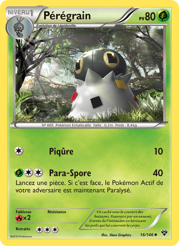 Pérégrain 16 — XY (French Pokémon TCG card)