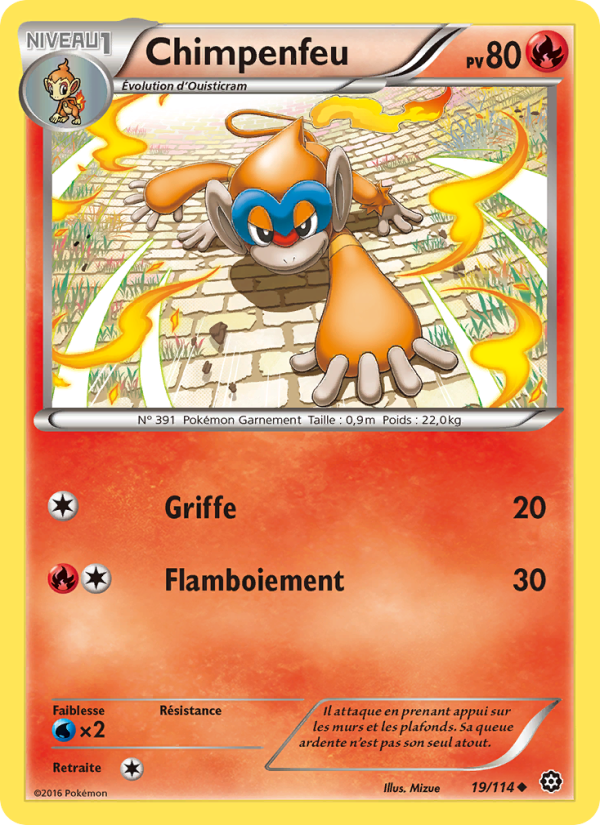 Chimpenfeu 19 — Offensive Vapeur (French Pokémon TCG card)