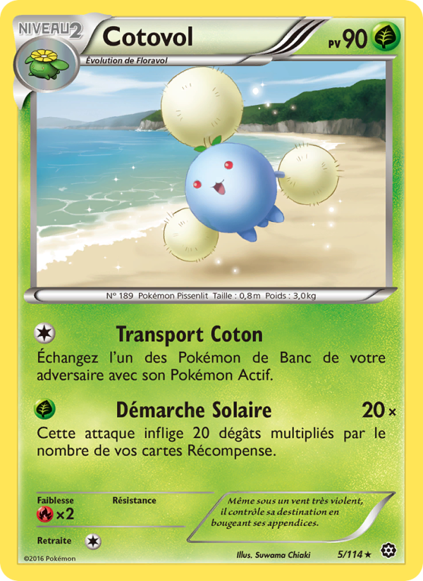 Cotovol 5 — Offensive Vapeur (French Pokémon TCG card)