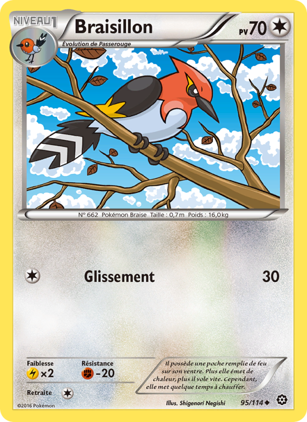 Braisillon 95 — Offensive Vapeur (French Pokémon TCG card)