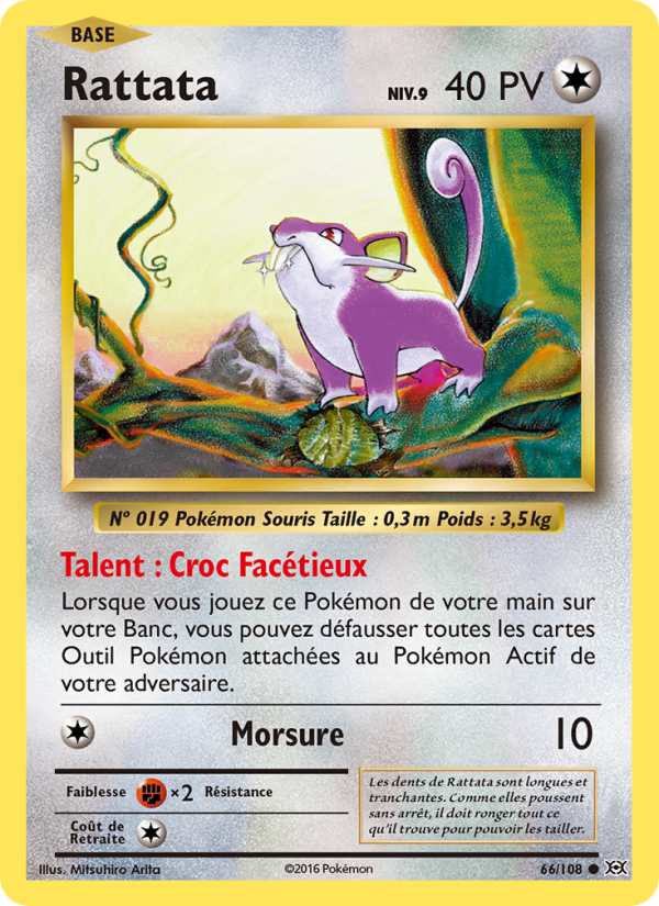 Rattata 66 — Évolutions (French Pokémon TCG card)