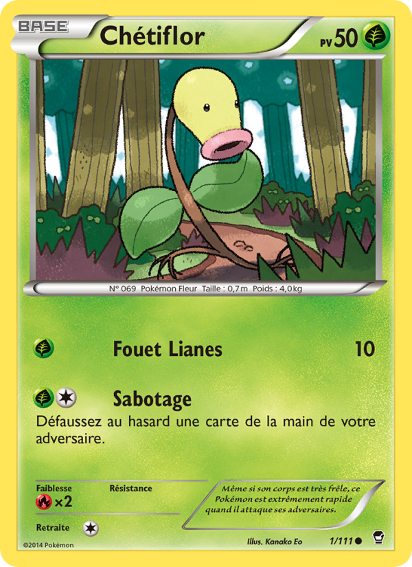 Extension Poings Furieux