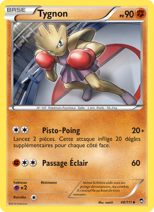 Tygnon 48 — Poings Furieux (French Pokémon TCG card)