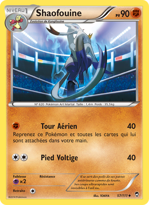 Shaofouine 57 — Poings Furieux (French Pokémon TCG card)
