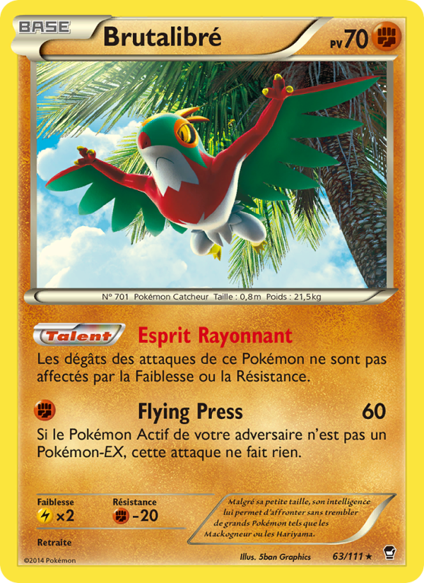 Brutalibré 63 — Poings Furieux (French Pokémon TCG card)