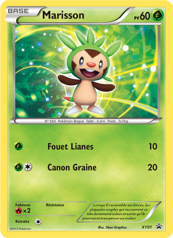 Marisson XY01 — Promo XY (French Pokémon TCG card)