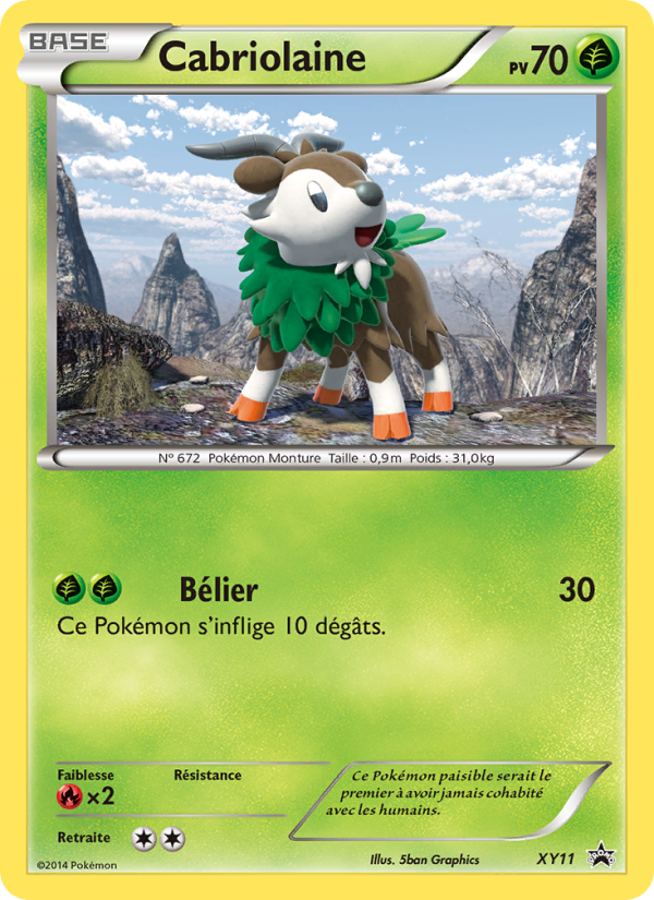 Cabriolaine XY11 — Promo XY (French Pokémon TCG card)