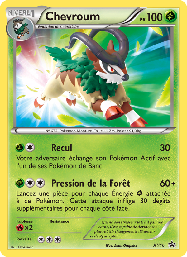 Chevroum XY16 — Promo XY (French Pokémon TCG card)