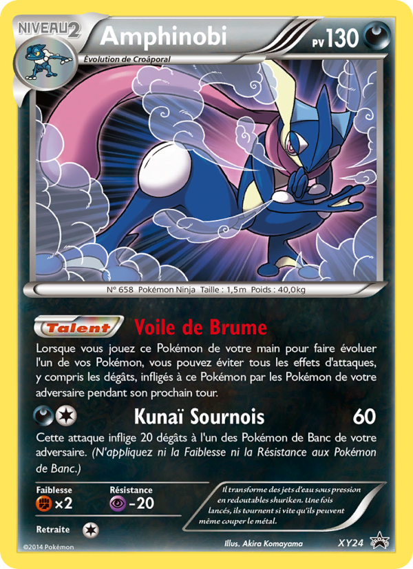 Amphinobi XY24 — Promo XY (French Pokémon TCG card)