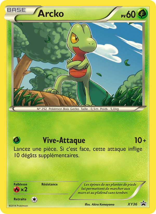 Arcko XY36 — Promo XY (French Pokémon TCG card)