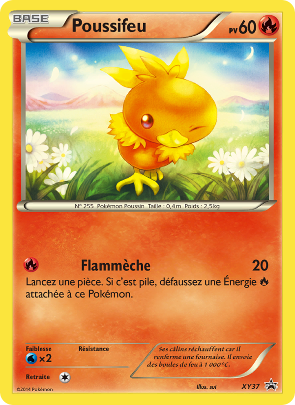 Poussifeu XY37 — Promo XY (French Pokémon TCG card)
