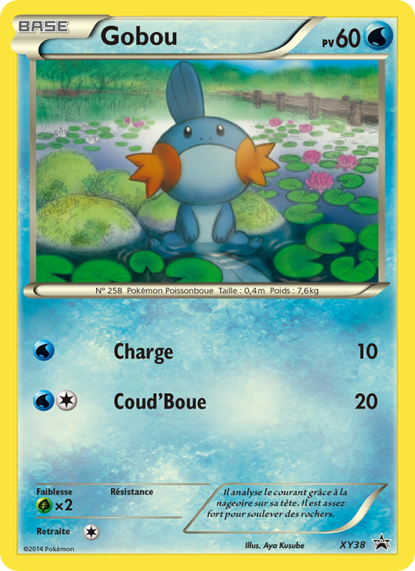 Gobou XY38 — Promo XY (French Pokémon TCG card)