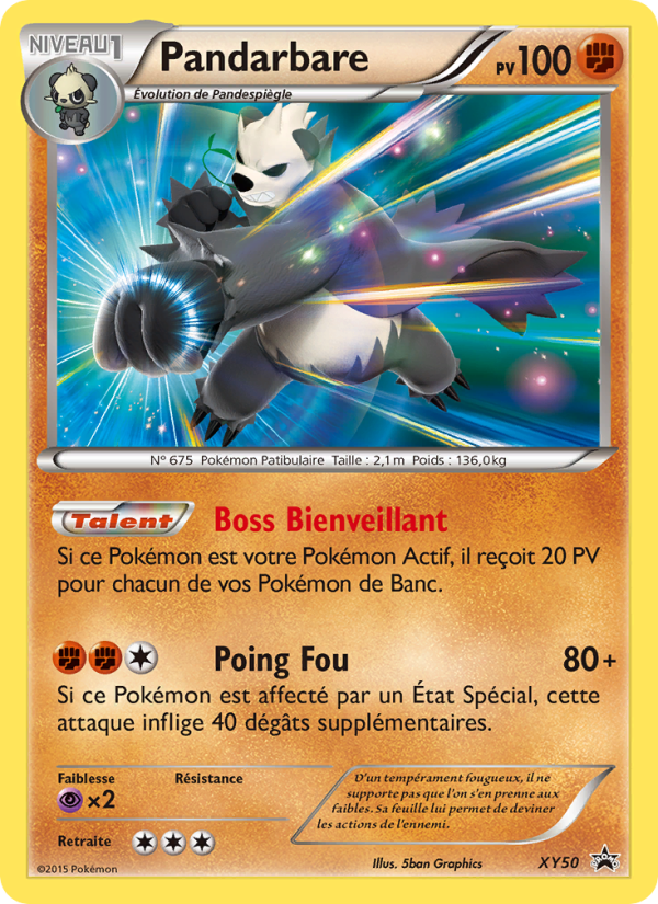 Pandarbare XY50 — Promo XY (French Pokémon TCG card)