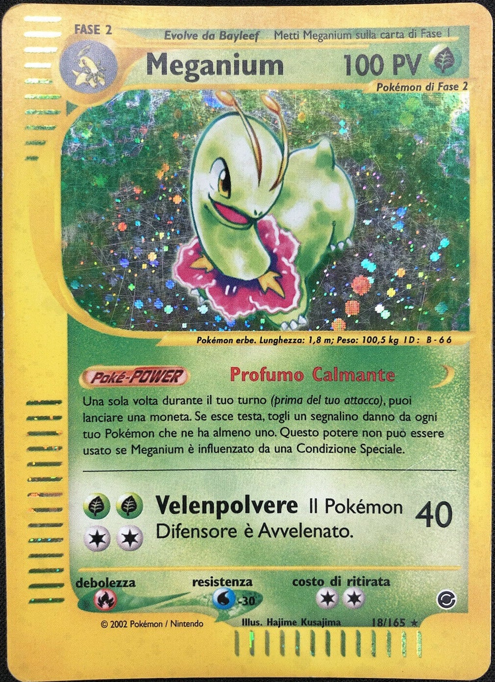 Meganium 018 — Expedition Set Base (Italian Pokémon TCG card)