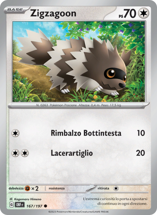 Zigzagoon 167/230 — Ossidiana Infuocata (Italian Pokémon TCG card)