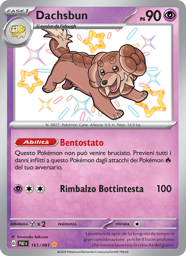 Dachsbun 161/245 — Destino di Paldea (Italian Pokémon TCG card)
