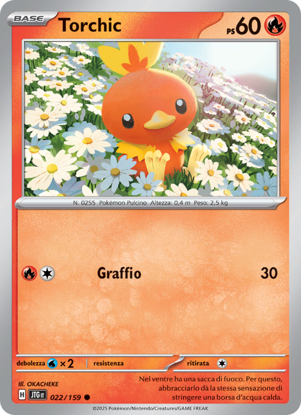 Torchic 022/190 — Avventure Insieme (Italian Pokémon TCG card)