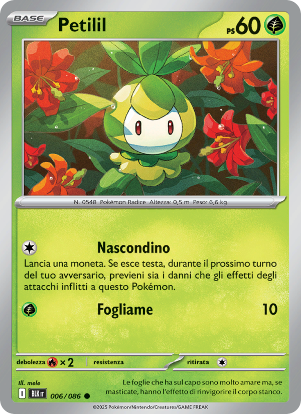 Petilil 006/172 — Luce Nera (Italian Pokémon TCG card)