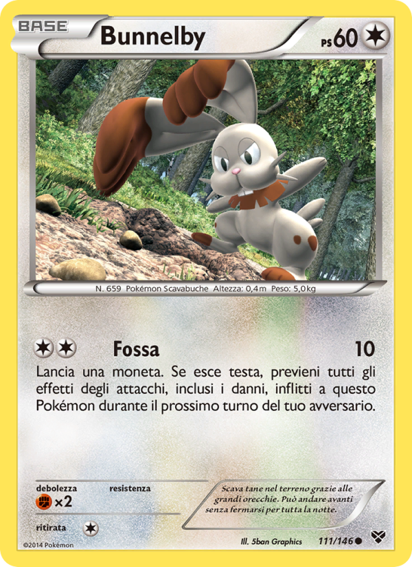 Bunnelby 111/146 — XY (Italian Pokémon TCG card)