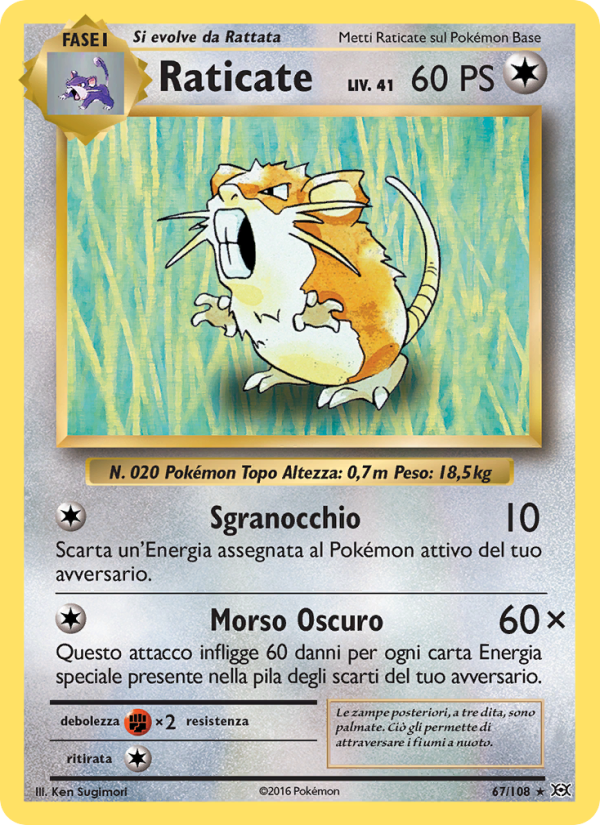 Raticate 067/113 — Evoluzioni (Italian Pokémon TCG card)