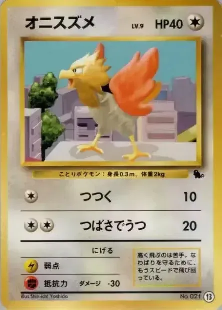 Spearow 013 — Intro Pack (Squirtle) (Japanese Pokémon TCG card)