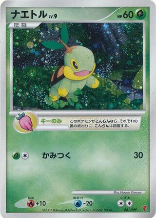 Turtwig 001 — PPP Promos (Japanese Pokémon TCG card)