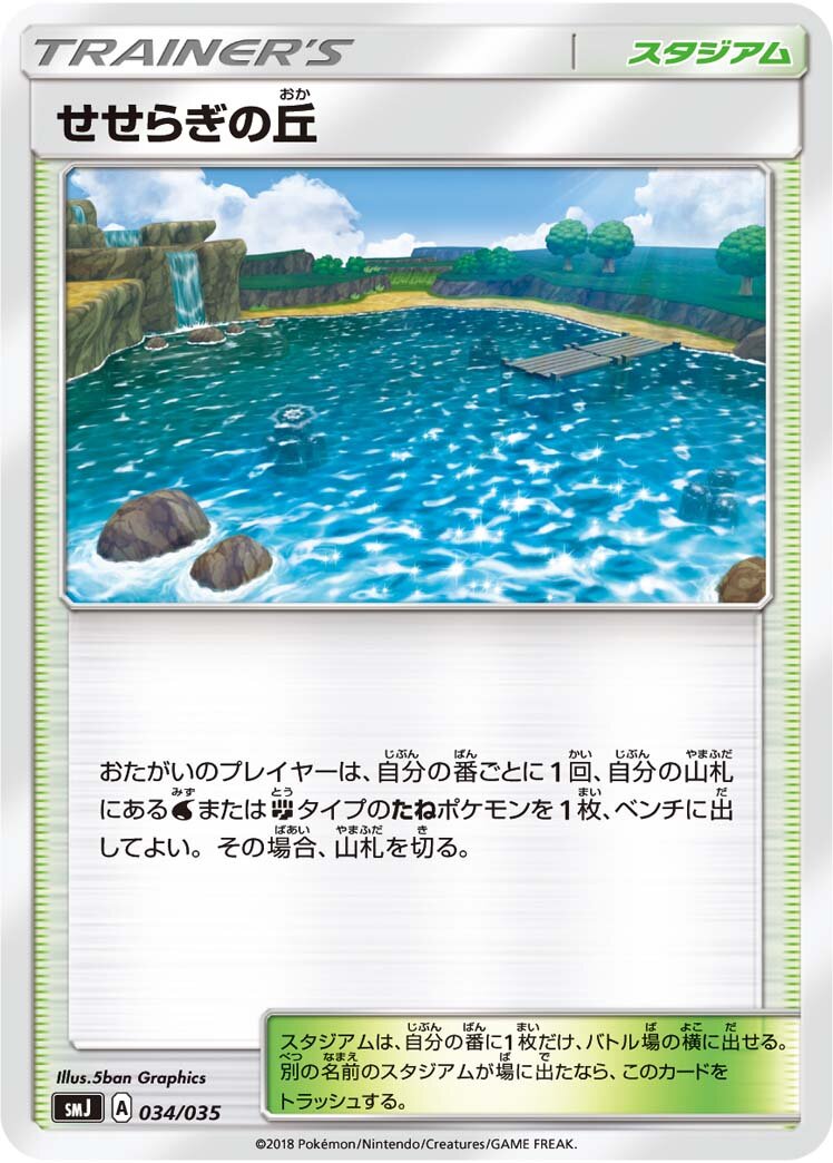 Brooklet Hill 034 — Tag Team GX Premium Trainer Box (Japanese Pokémon TCG card)