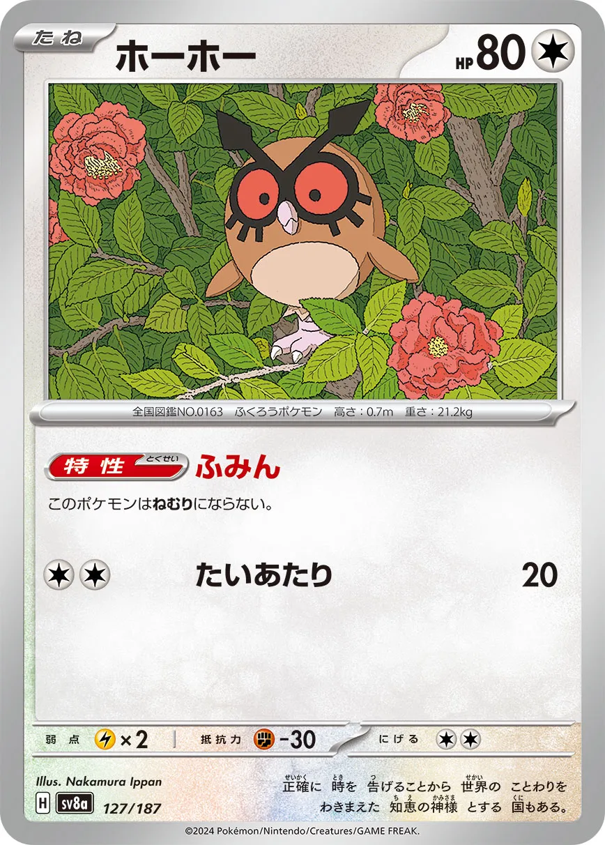 Hoothoot 127/236 — Terastal Festival ex (Japanese Pokémon TCG card)