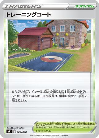Training Court 028/30 — VSTAR Premium Trainer Box (Japanese Pokémon TCG card)