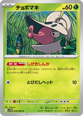Shelmet 008/174 — White Flare (Japanese Pokémon TCG card)