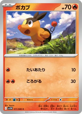 Tepig 011/174 — White Flare (Japanese Pokémon TCG card)